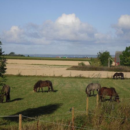 Lagenhet Lillisgarden Affittacamere Vallåkra Esterno foto