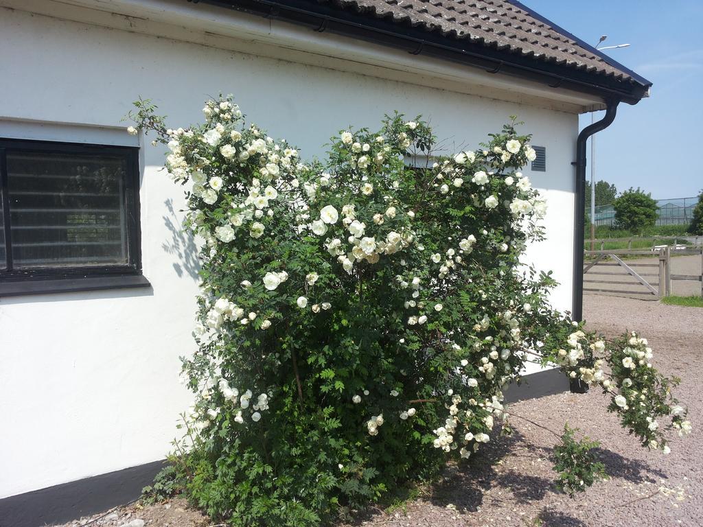 Affittacamere Laegenhet Lillisgarden Vallåkra Esterno foto