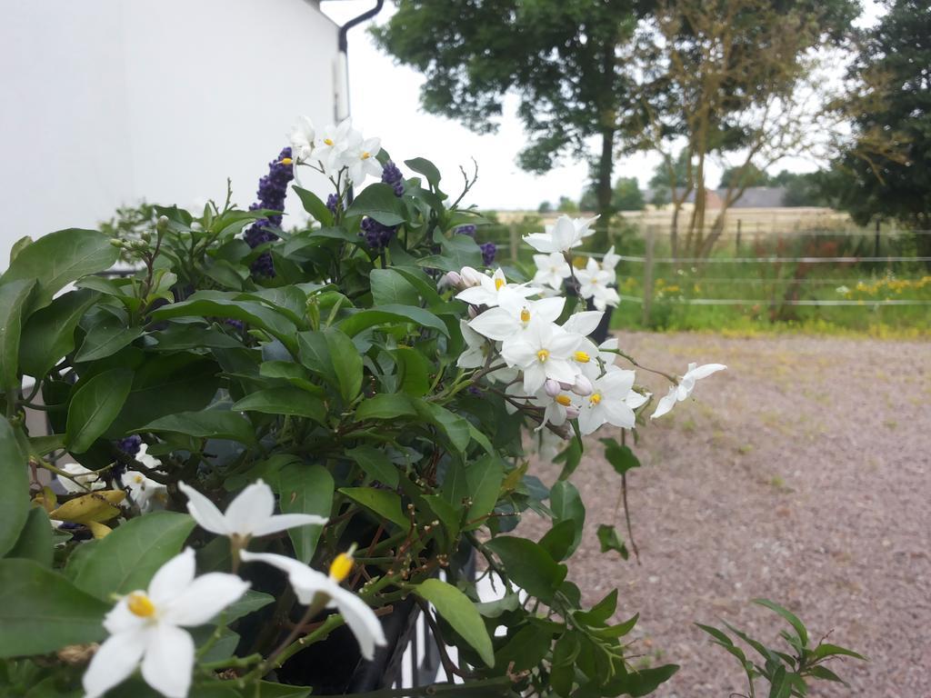Affittacamere Laegenhet Lillisgarden Vallåkra Esterno foto