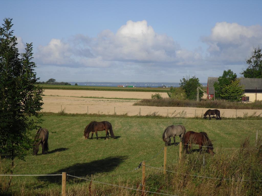 Affittacamere Laegenhet Lillisgarden Vallåkra Esterno foto